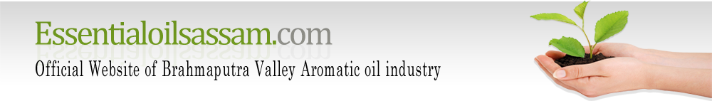 Patchouli Oil, Java Citronella oil, Lemon grass oil, Kapur kachri oil, Sugandh Mantri oil romatic Essential Oils Assam India
