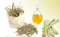 Lemon grass Oil Assam